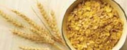 Gluten